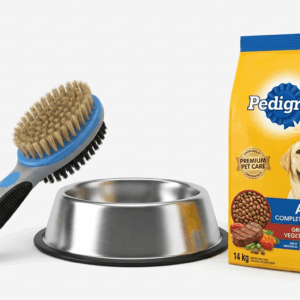 Pet Feeding & Grooming Combo