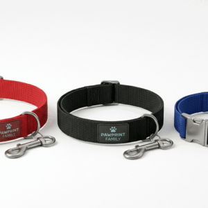 Dog Collar