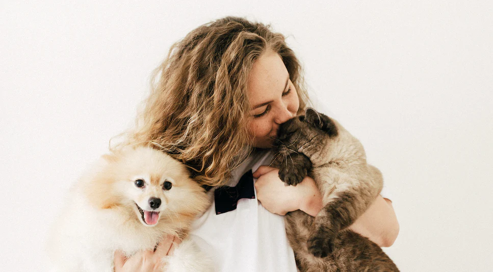 5 Delicious Frozen Cat and Dog Treat Recipes for Happy Pets